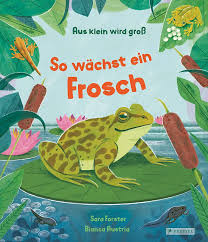 So  wächst ein Frosch